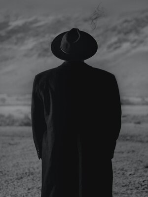 cover image of Too Late for Smiling